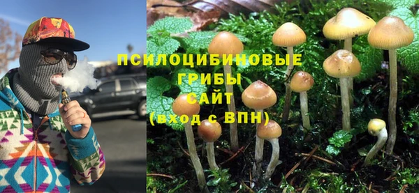 мдпв Беломорск