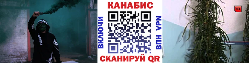 Конопля конопля  Шумерля 